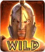 สัญลักษณ์ Wild